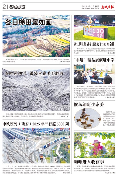 �����籨��������