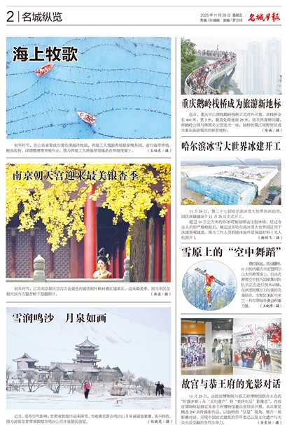 �����籨��������