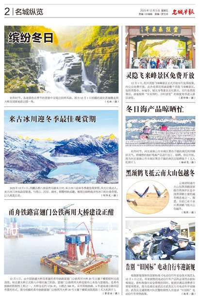 �����籨��������