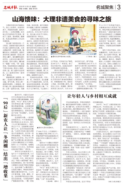 �����籨���Ǿ۽�