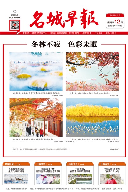 �����籨ͷ��