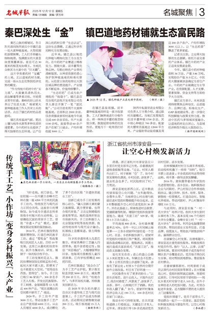 �����籨���Ǿ۽�