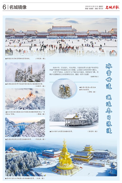 �����籨���Ǿ���