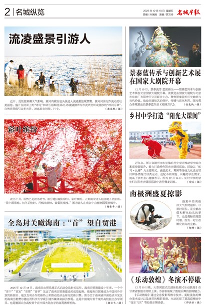 �����籨��������