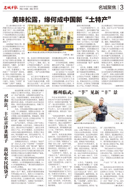 �����籨���Ǿ۽�