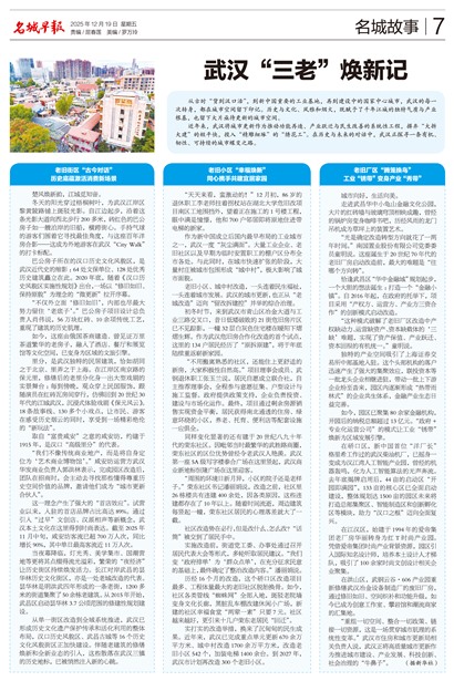 �����籨���ǹ���