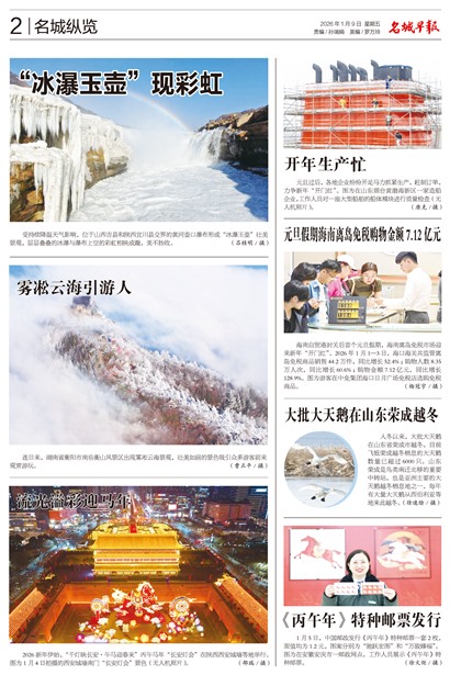 �����籨��������