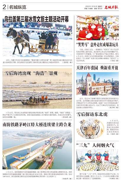 �����籨��������