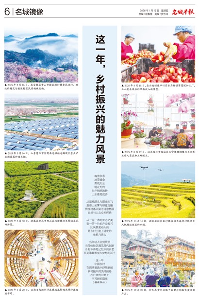 �����籨���Ǿ���