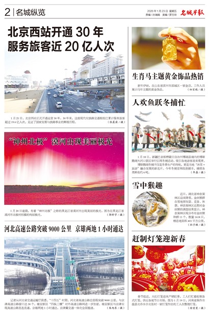 �����籨��������