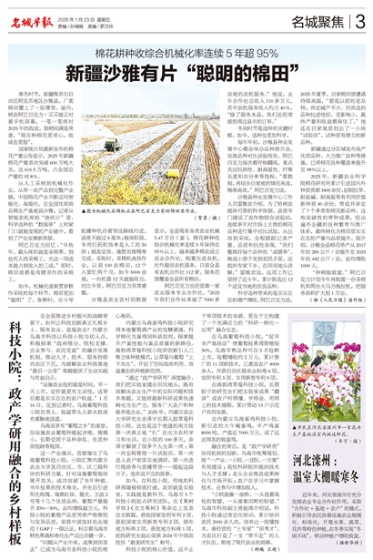 �����籨���Ǿ۽�