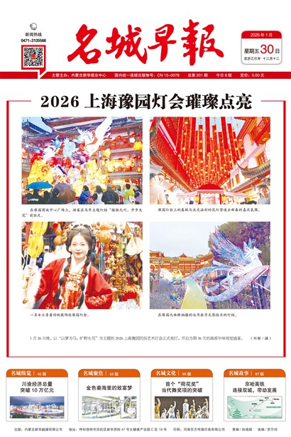 �����籨ͷ��