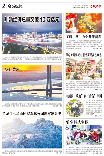 �����籨��������