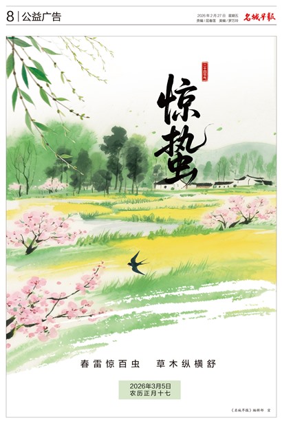 �����籨������