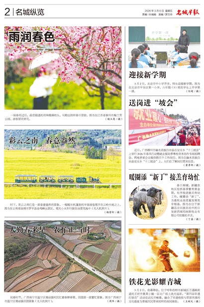 �����籨��������