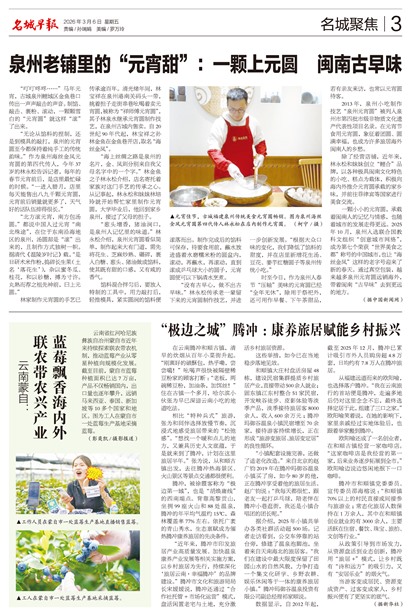 �����籨���Ǿ۽�