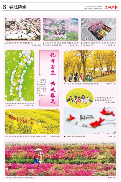 �����籨���Ǿ���