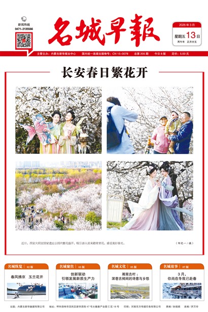 �����籨ͷ��