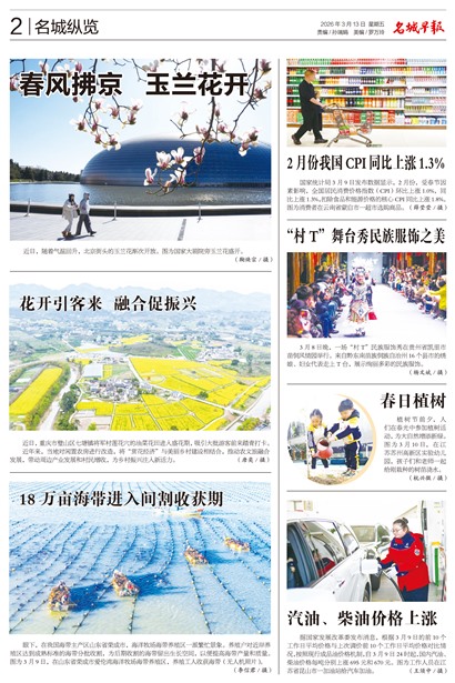 �����籨��������