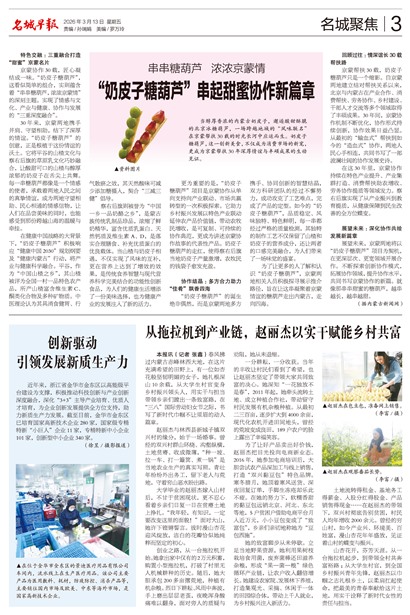 �����籨���Ǿ۽�