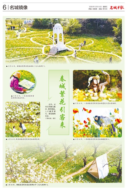 �����籨���Ǿ���