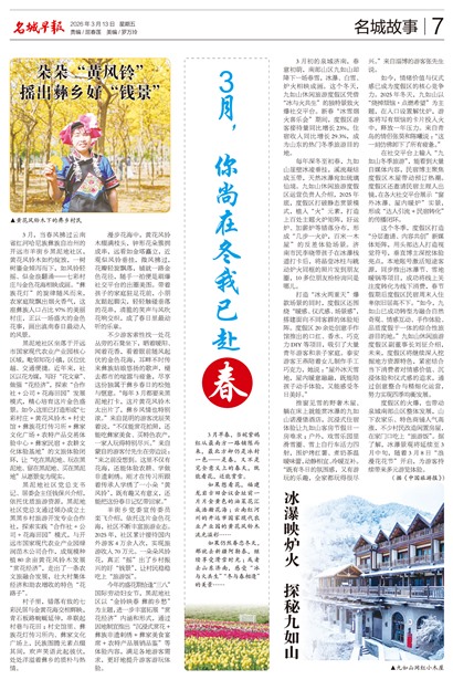 �����籨���ǹ���