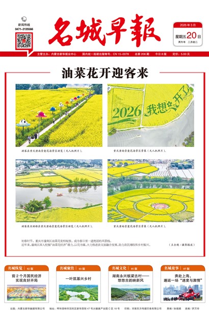 �����籨ͷ��