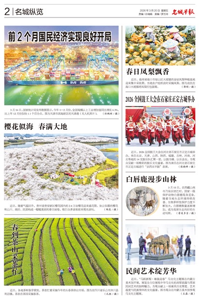 �����籨��������