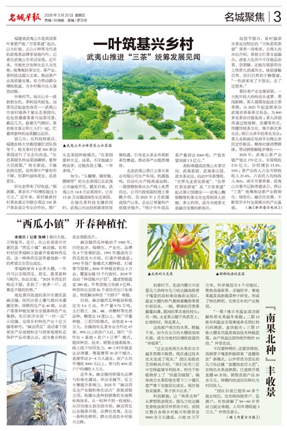 �����籨���Ǿ۽�