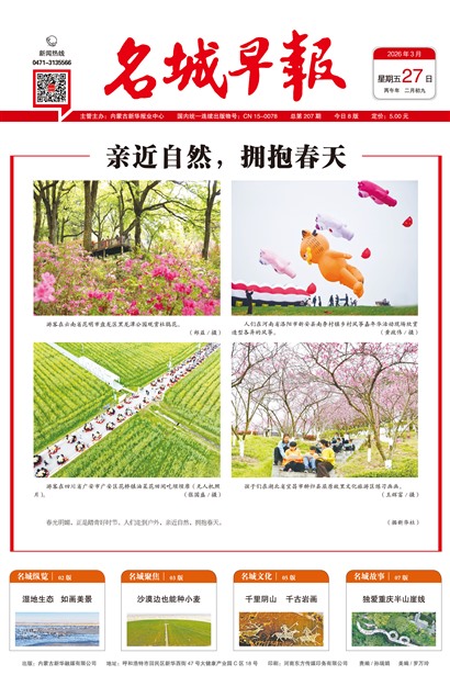 �����籨ͷ��