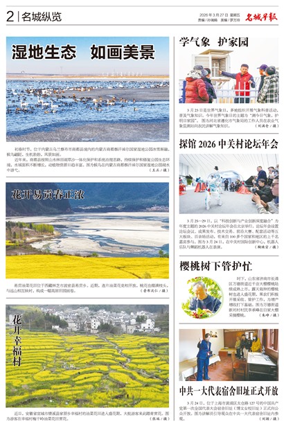 �����籨��������