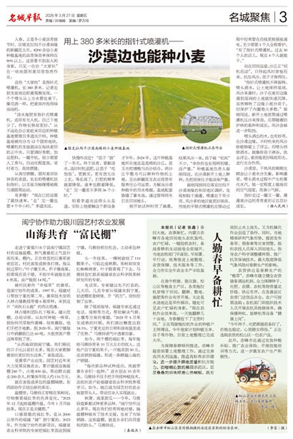 �����籨���Ǿ۽�