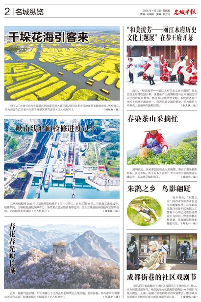 �����籨��������