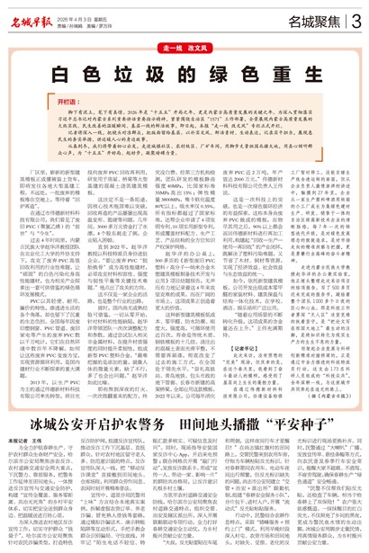 �����籨���Ǿ۽�