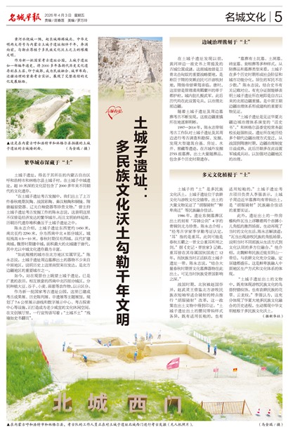 �����籨�����Ļ�