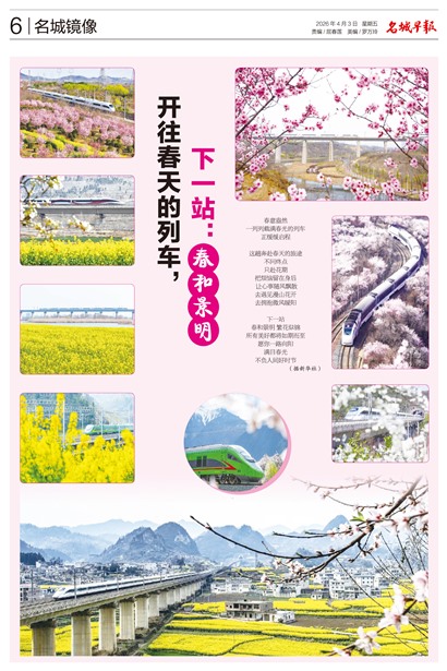 �����籨���Ǿ���