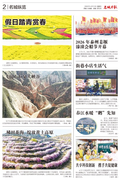 �����籨��������