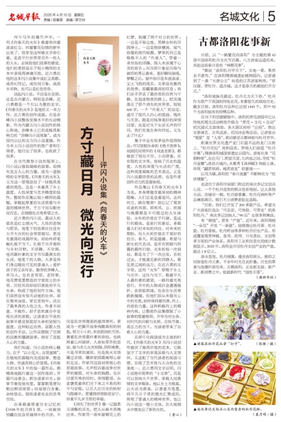 �����籨�����Ļ�