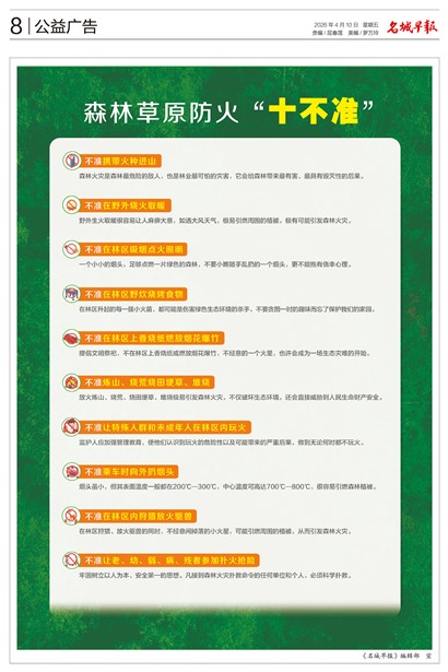 �����籨������